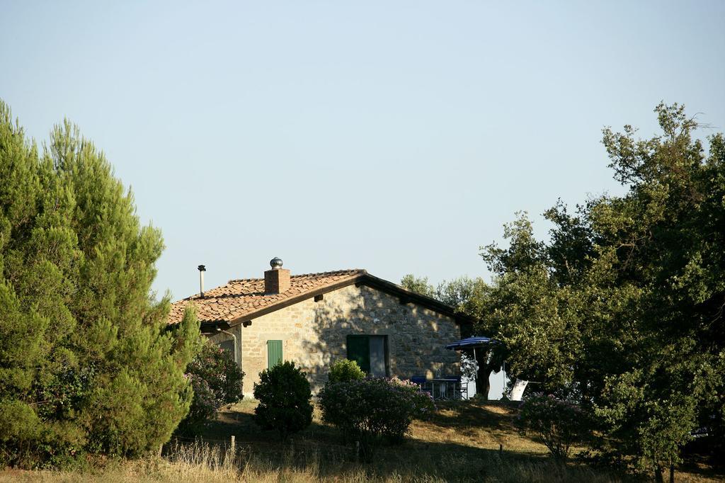 Fattoria Poggio Foco Manciano Quarto foto