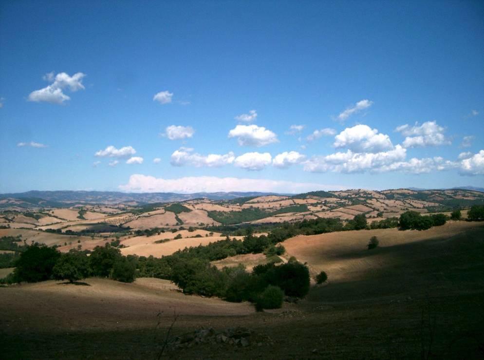 Fattoria Poggio Foco Manciano Exterior foto