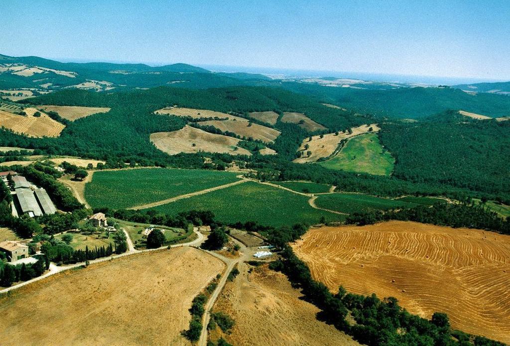 Fattoria Poggio Foco Manciano Exterior foto