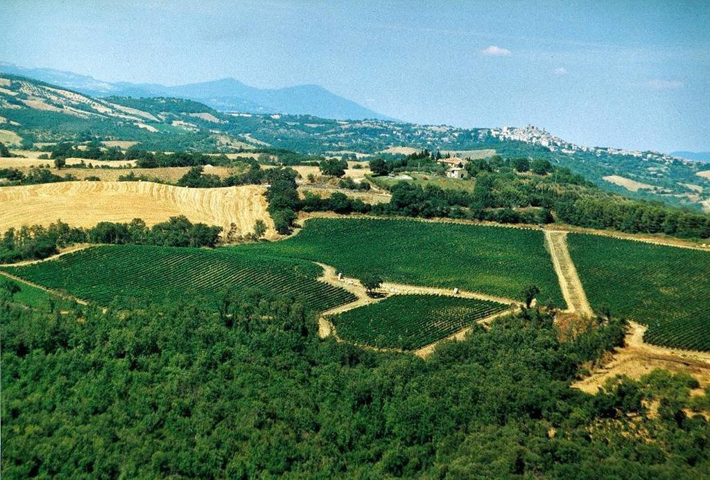 Fattoria Poggio Foco Manciano Exterior foto
