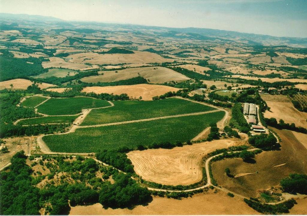 Fattoria Poggio Foco Manciano Exterior foto